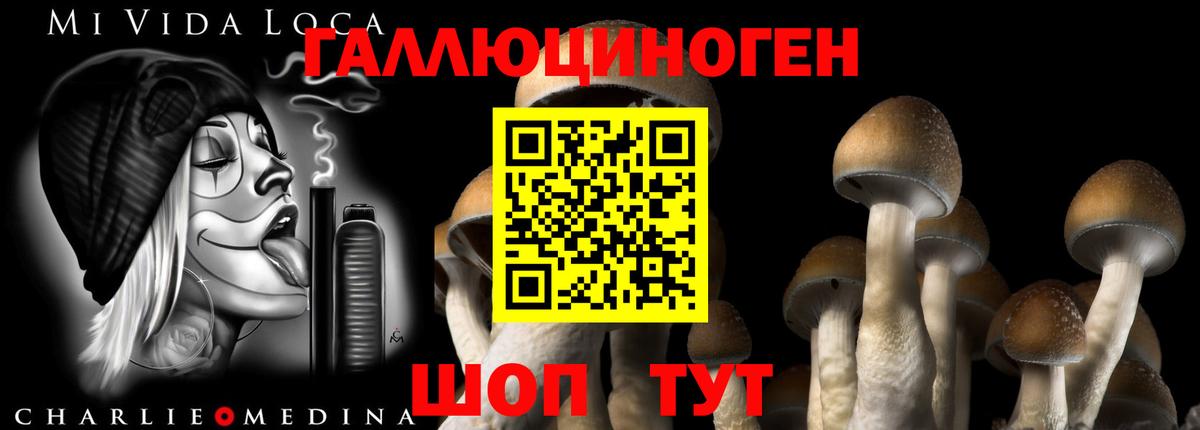 Галлюциногенные грибы MAGIC MUSHROOMS  Вход с VPN  наркошоп  Грозный  Псилоцибиновые грибы ЛСД 